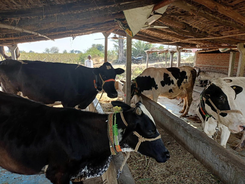 ROCKWELL AUTOMATION: MODERNIZING DAIRY FARMING IN INDIA